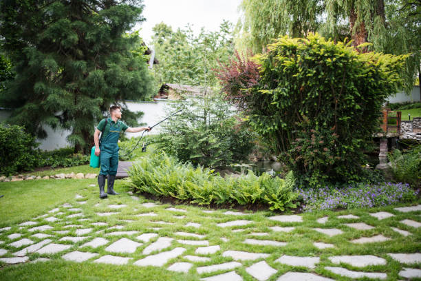 Best Wildlife Control Services  in Collingdale, PA