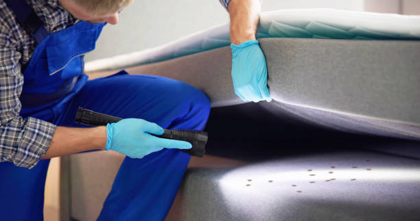 Best Mosquito Control Services  in Collingdale, PA