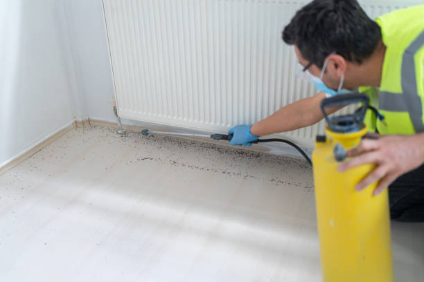 Best Mosquito Control Services  in Collingdale, PA